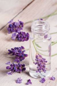 HBC-AS11-lavender-oil-srstock33725371